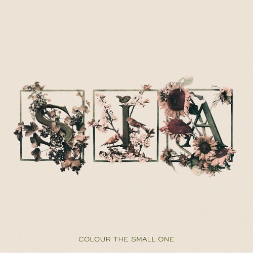 Album artwork of Sia – Colour the Small One