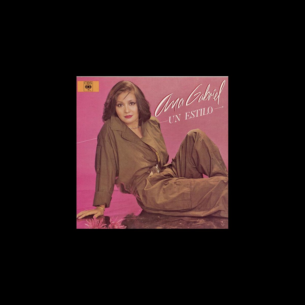 Un Estilo By Ana Gabriel On Apple Music