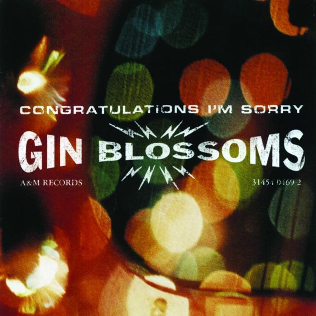 Free Download Mp3 Gin Blossom Follow You Down