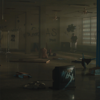 WHY - NF