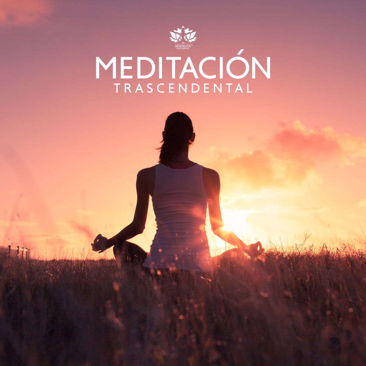 Meditación Trascendental Calmar la Ansiedad y Eliminar el Estrés by