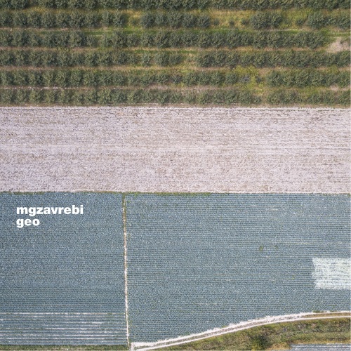 Album artwork of Mgzavrebi – GEO
