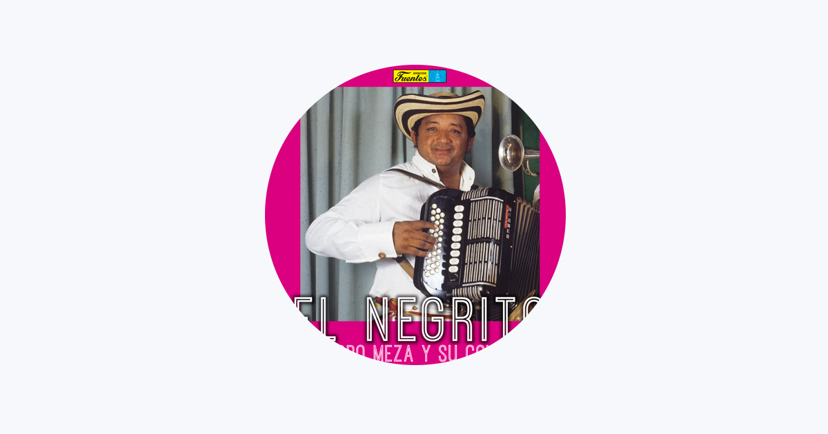 Lisandro Meza Y Su Conjunto On Apple Music