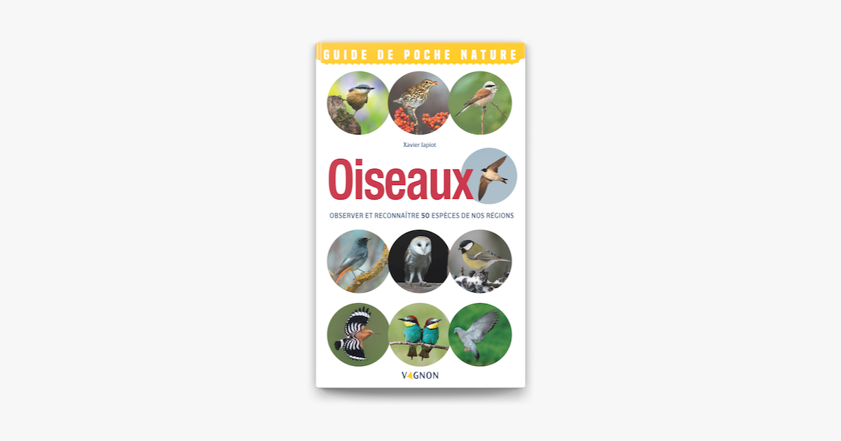 Oiseaux Observer et reconnaître 50 espèces de nos régions on Apple Books