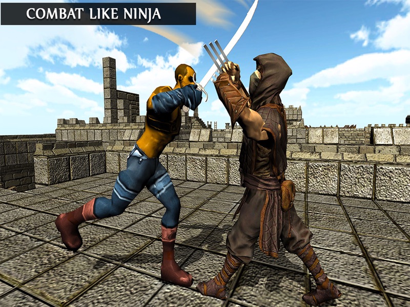 ninja warrior assassin mission 3d