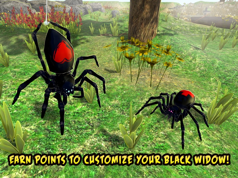 black widow insect spider life simulator