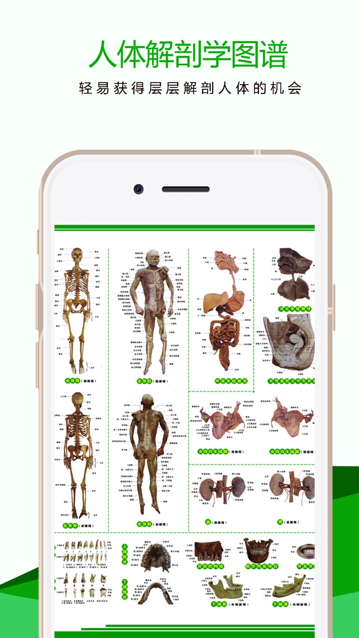 3dbody解剖图谱2017人体解剖生理学基础