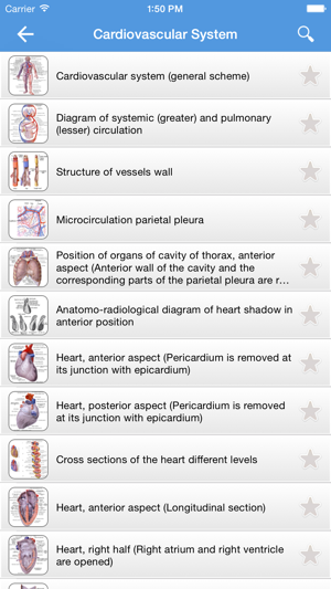 ‎Human Anatomy 2017 Screenshot