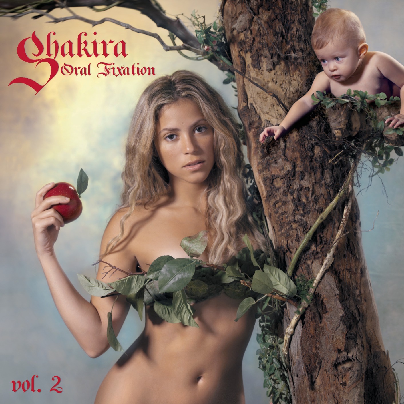Hips Don't Lie artwork