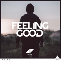 Avicii - Feeling Good