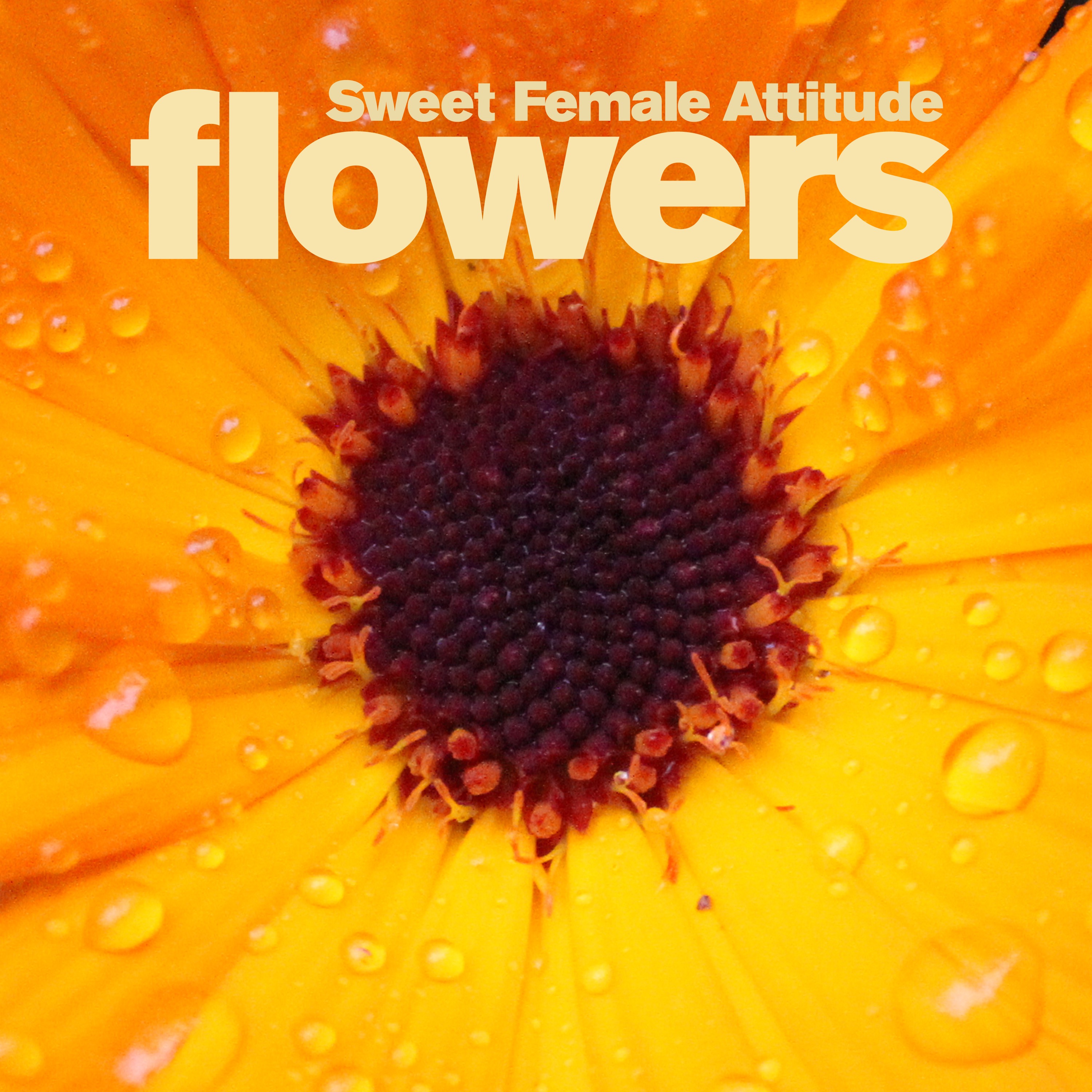 Flowers artwork