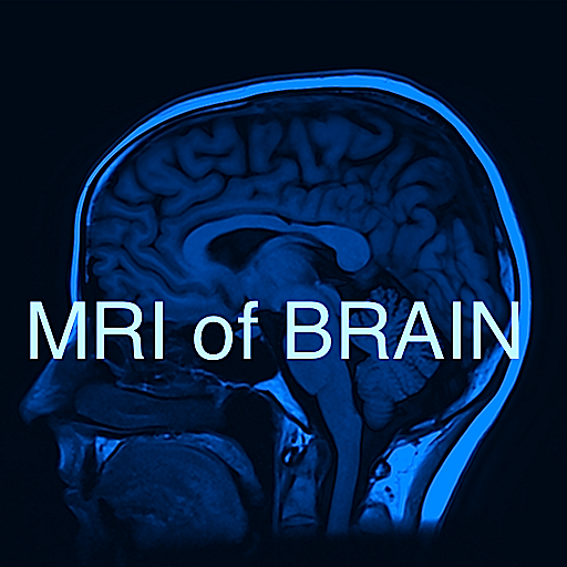 MRI of Brain icon