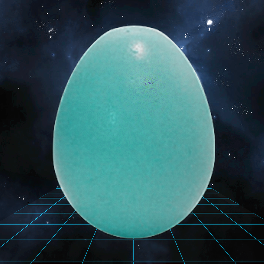 GRAVITY EGG