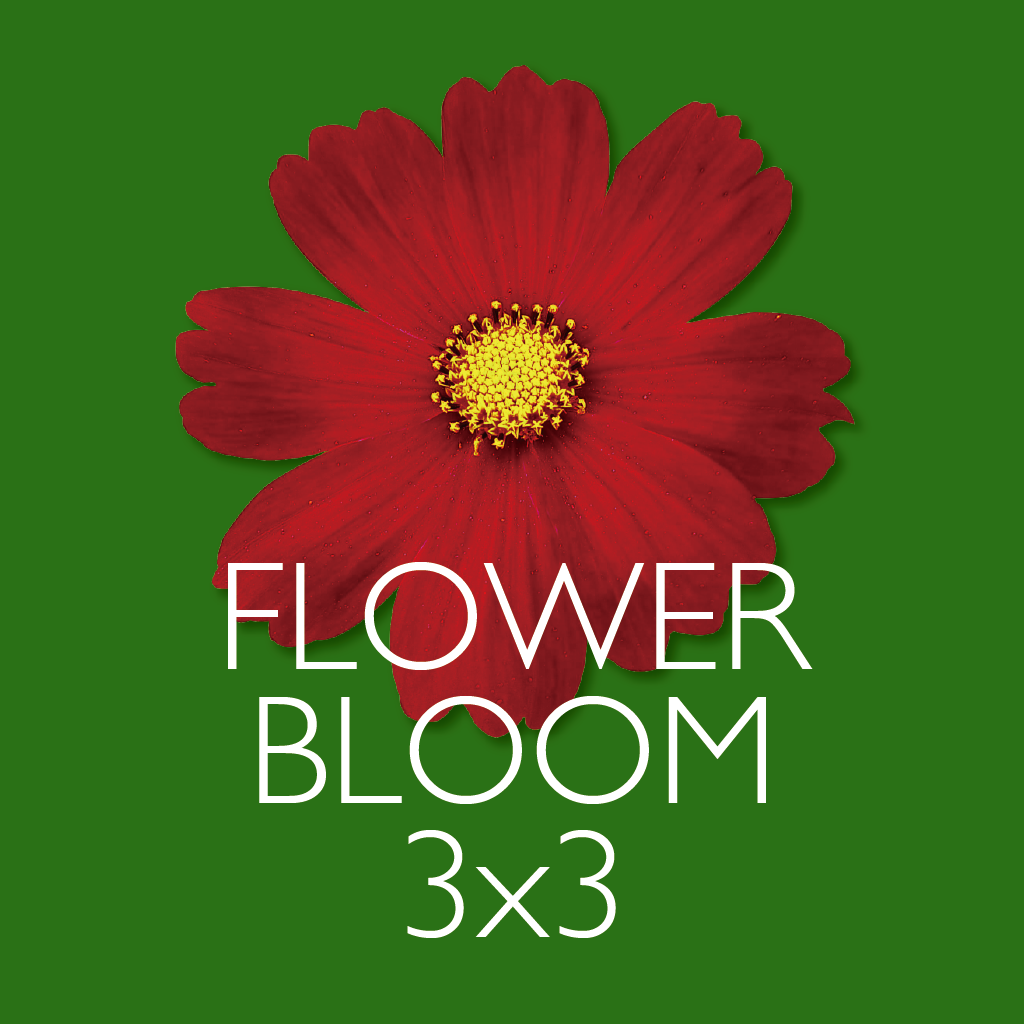 Flower Bloom Puzzle