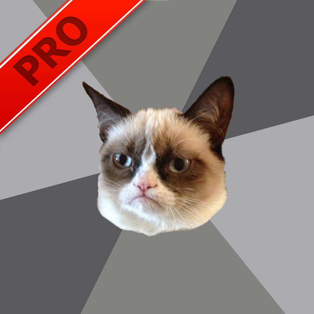 Grumpy Cat Pro Meme Generator