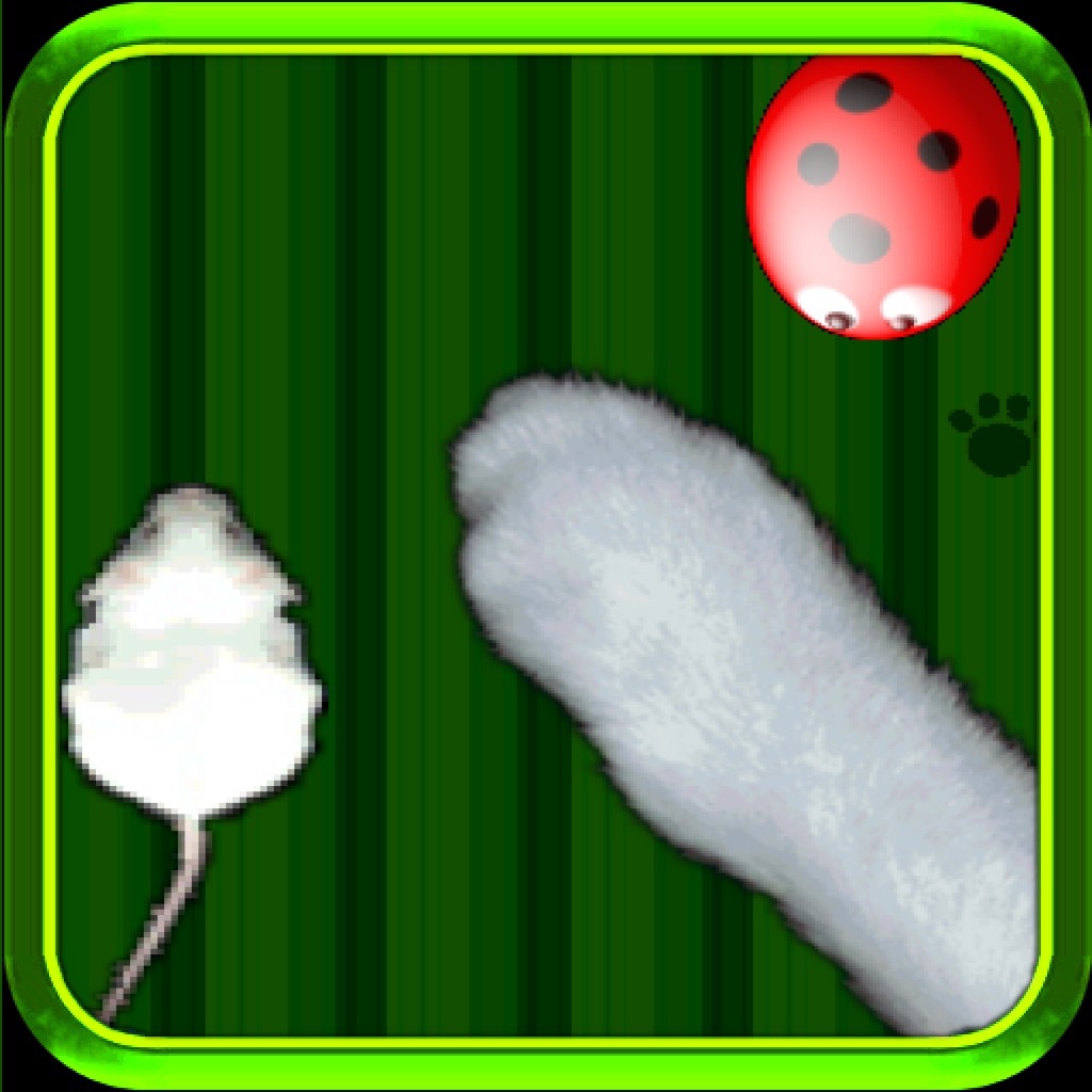 A Cat Friendly Game - 5 Catch Games for Cats and Humans ! - Catch the Mice ! - Catch the Bugs ! - Catch the Fish ! and other cats toys !