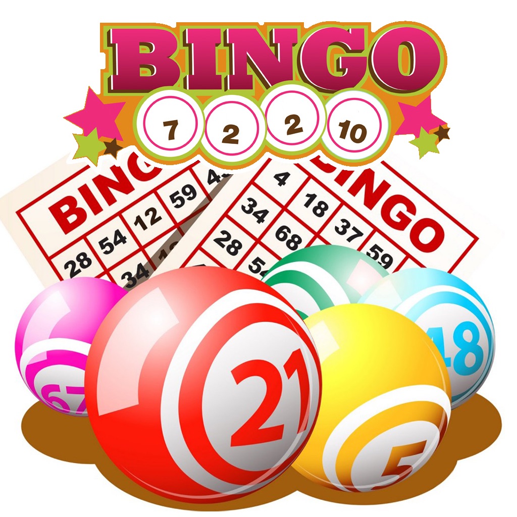 Bingo Free Pro