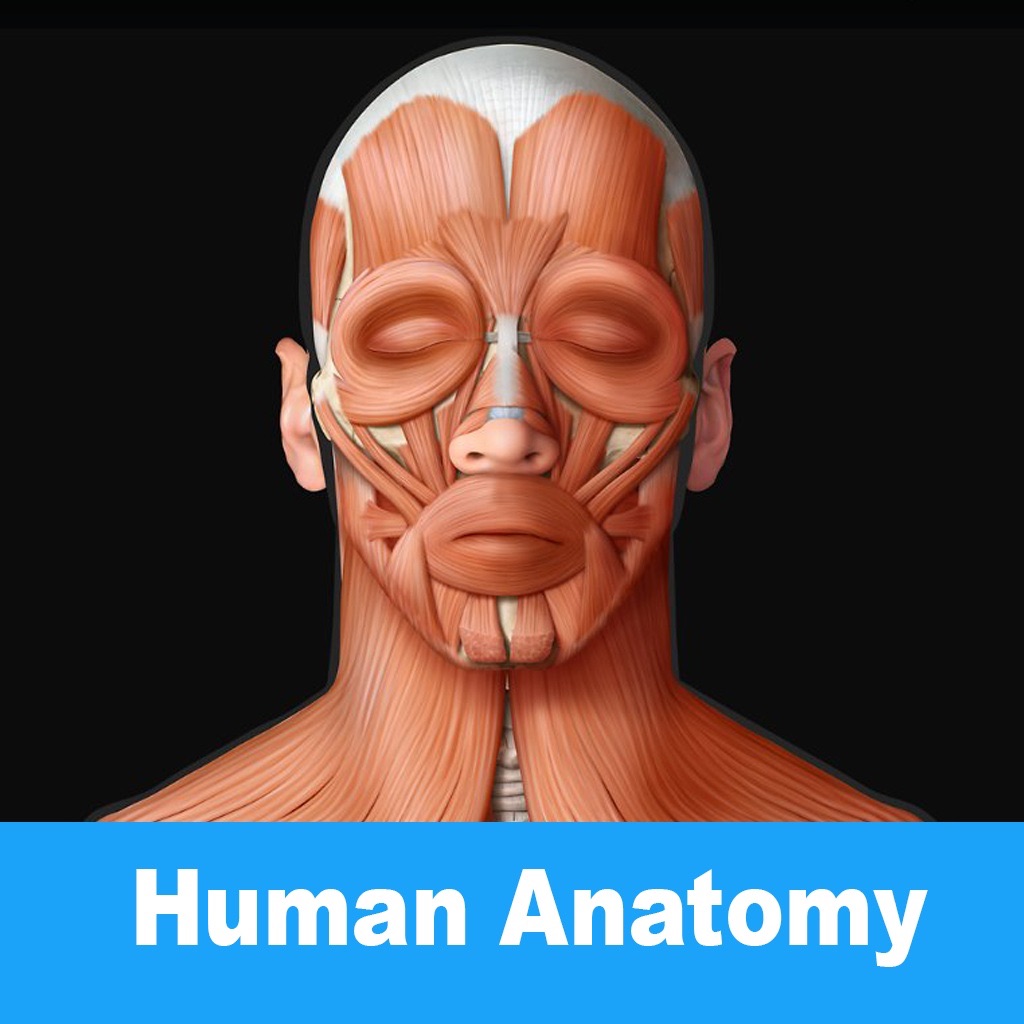 Visual Human Anatomy Pro