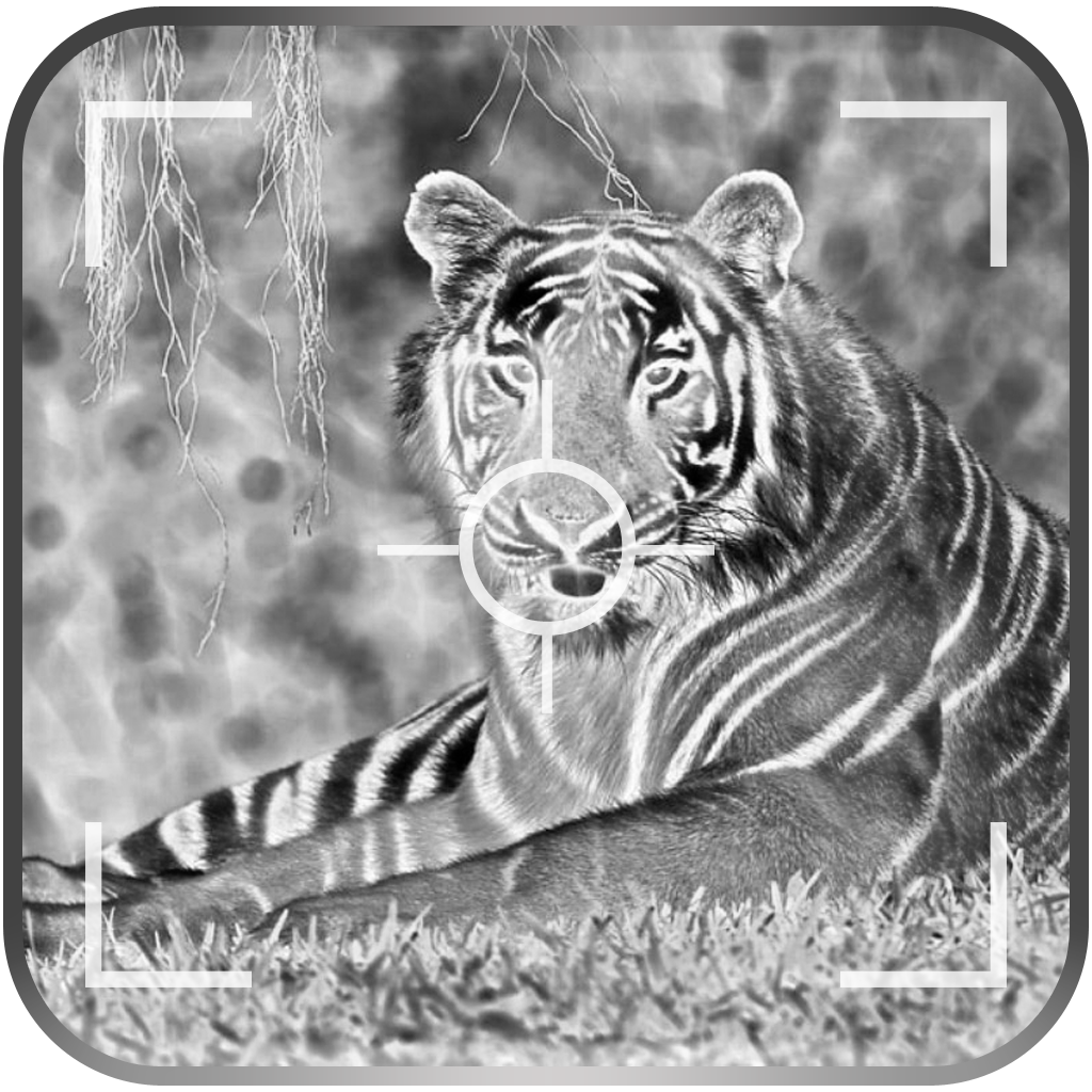 Best Negative Photo Camera & Video Effects Icon