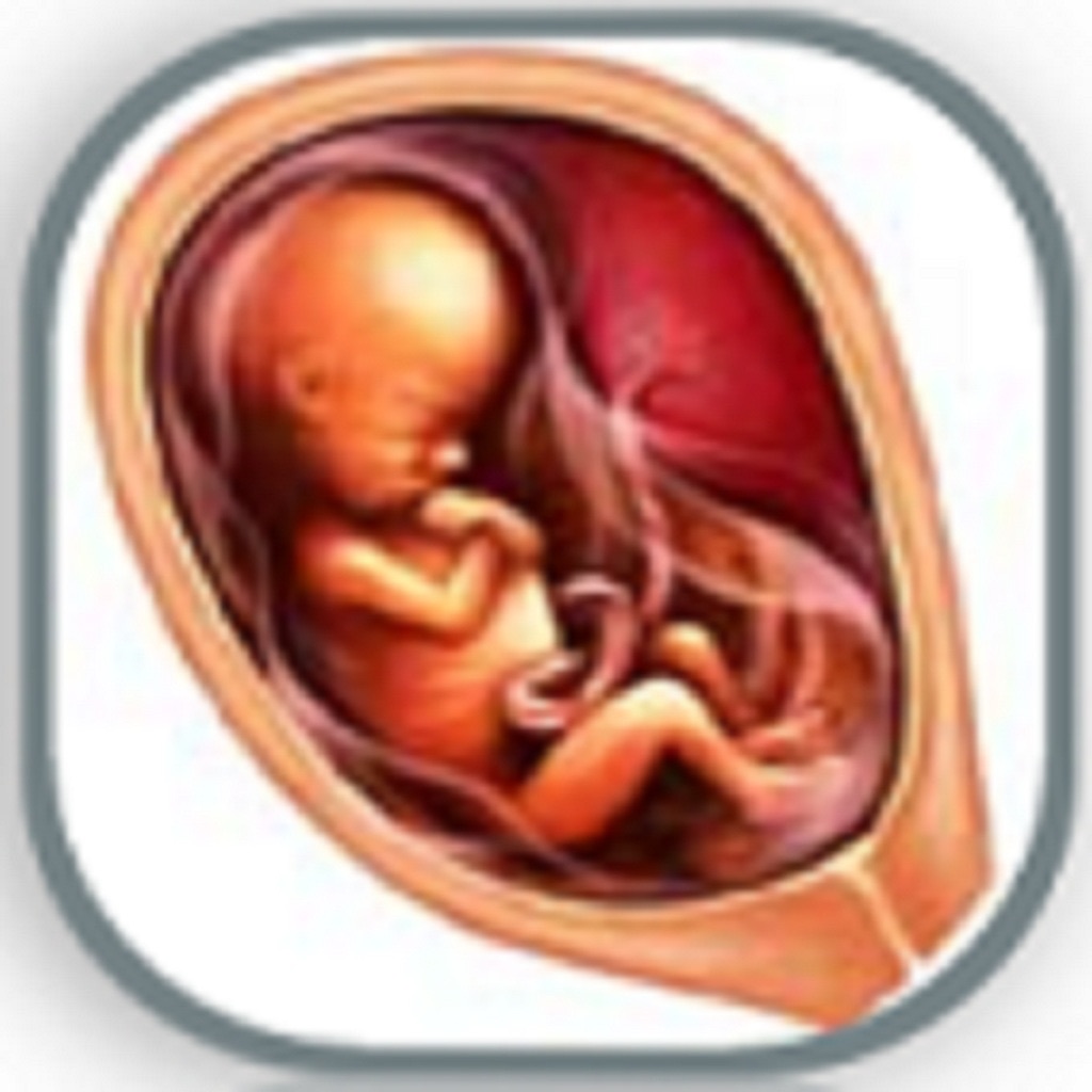 Pregnancy Week by Week: Antenatal Guide