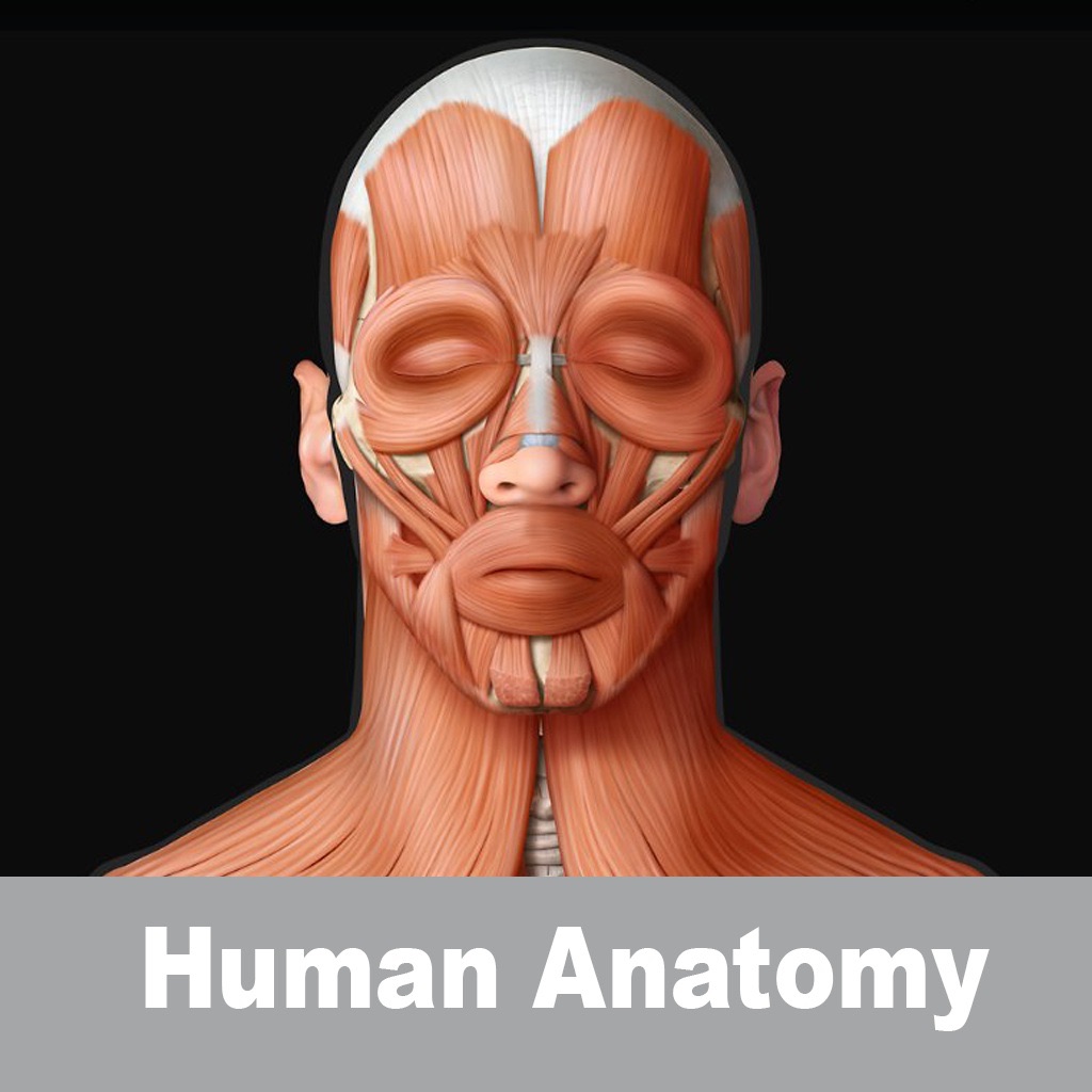 Gray's Visual Human Anatomy Application icon