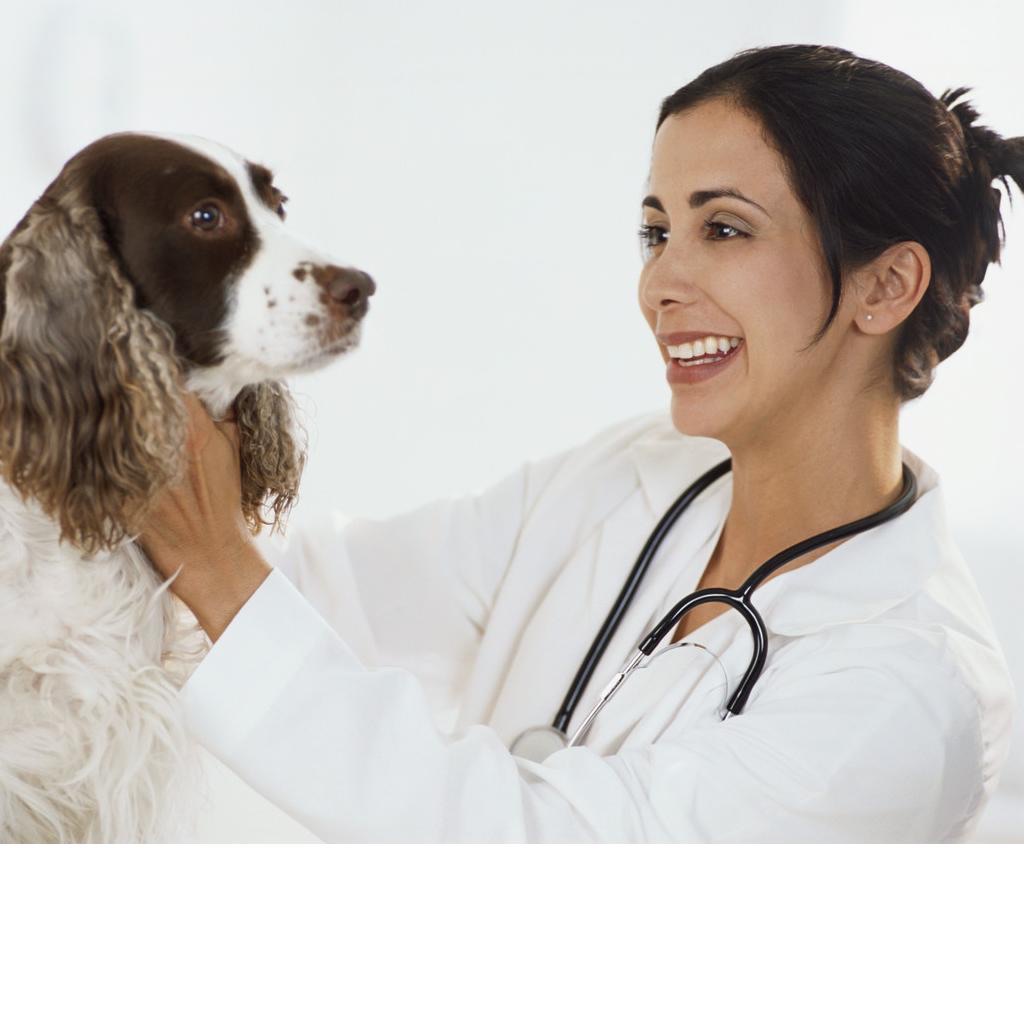 Veterinary Technologists and Veterinary Technician Exam Simulator Software