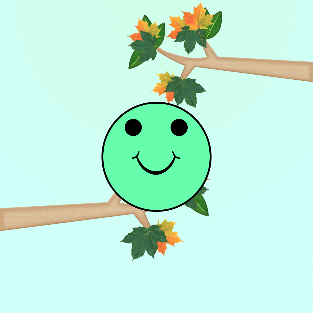 Green Smiley Bounce - BouncingFace