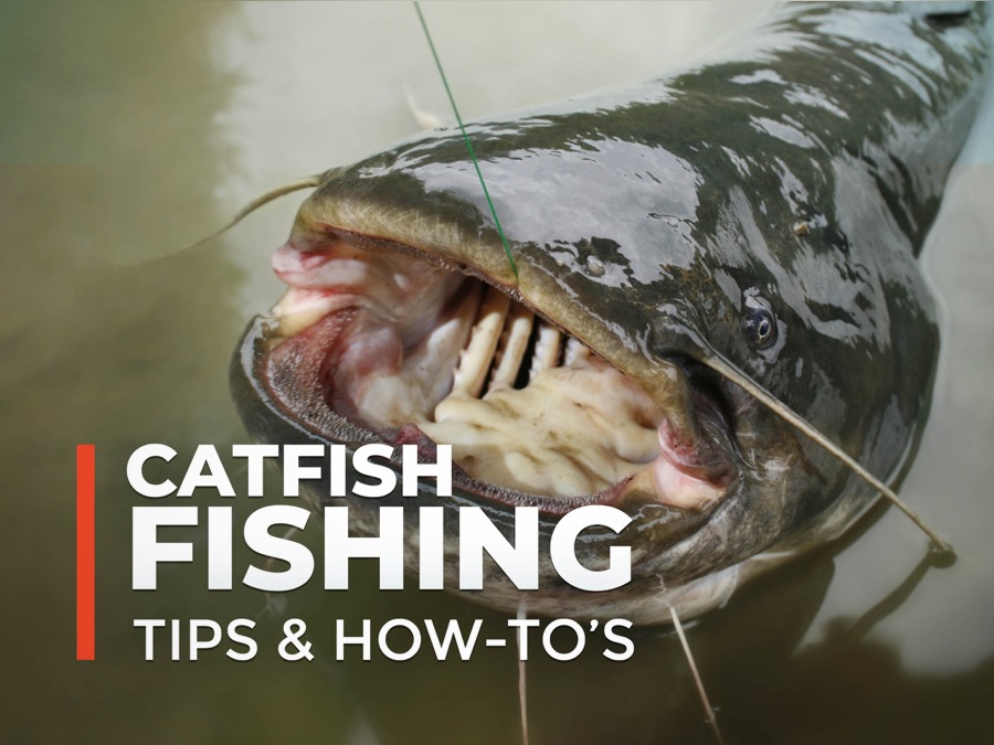 Catfish Fishing Tips & How-To's | Apple TV