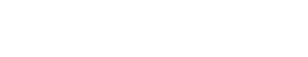 The Snoopy Show