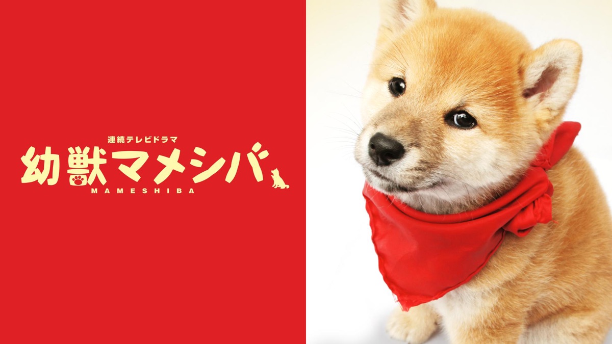 ドラマ版 幼獣マメシバ｜Apple TV (日本)