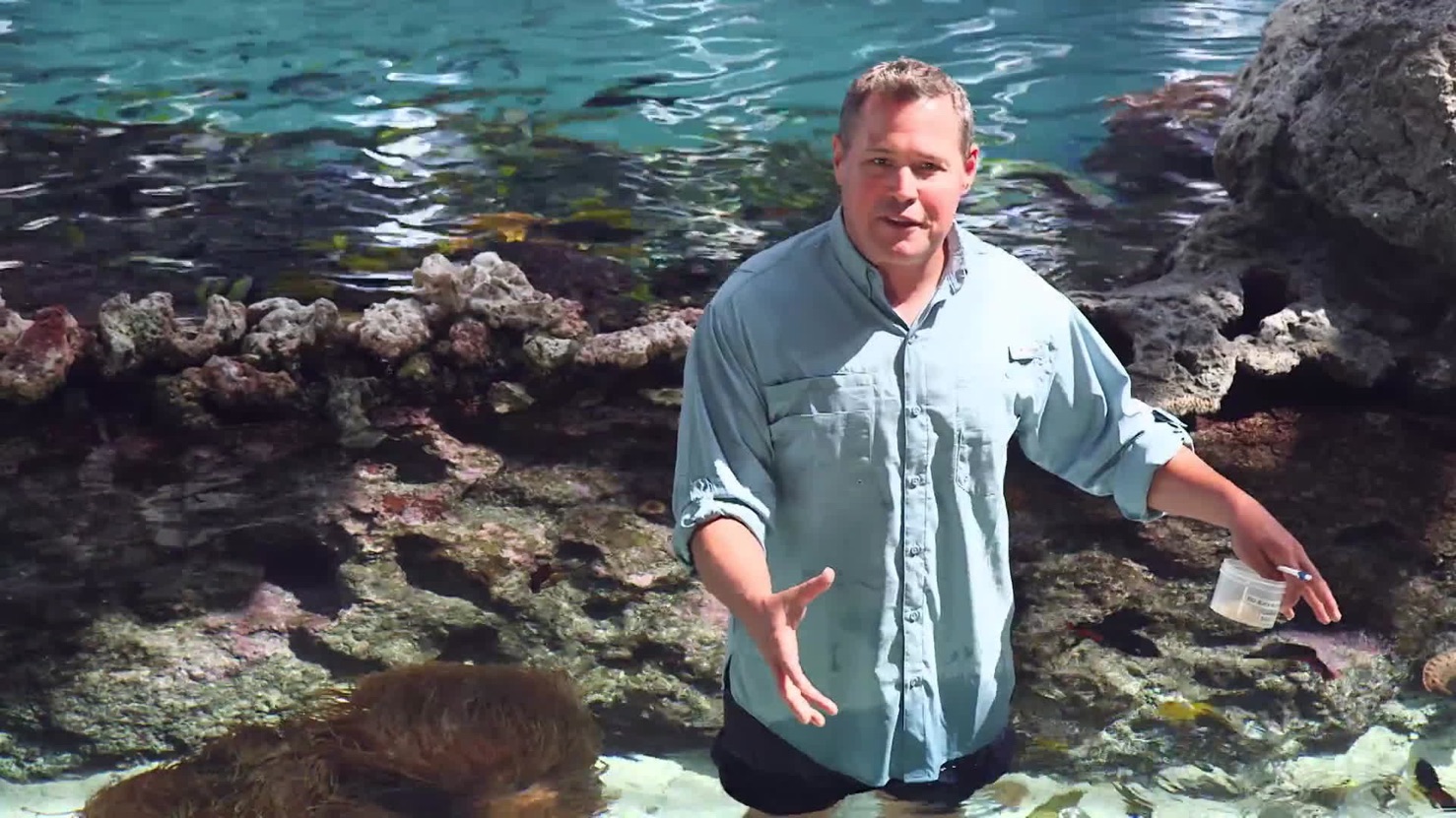 Ocean Mysteries on Apple TV