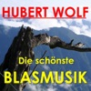 Böhmerländer Welterfolge - Die schönste Blasmusik, 2006
