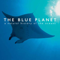 The Blue Planet - The Blue Planet artwork