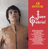 15 Exitos de Juan Gabriel, 2004