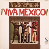 Viva Mexico artwork