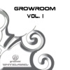 Joeski - Grovers Groove