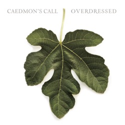 Caedmon's Call - There Is a Reason