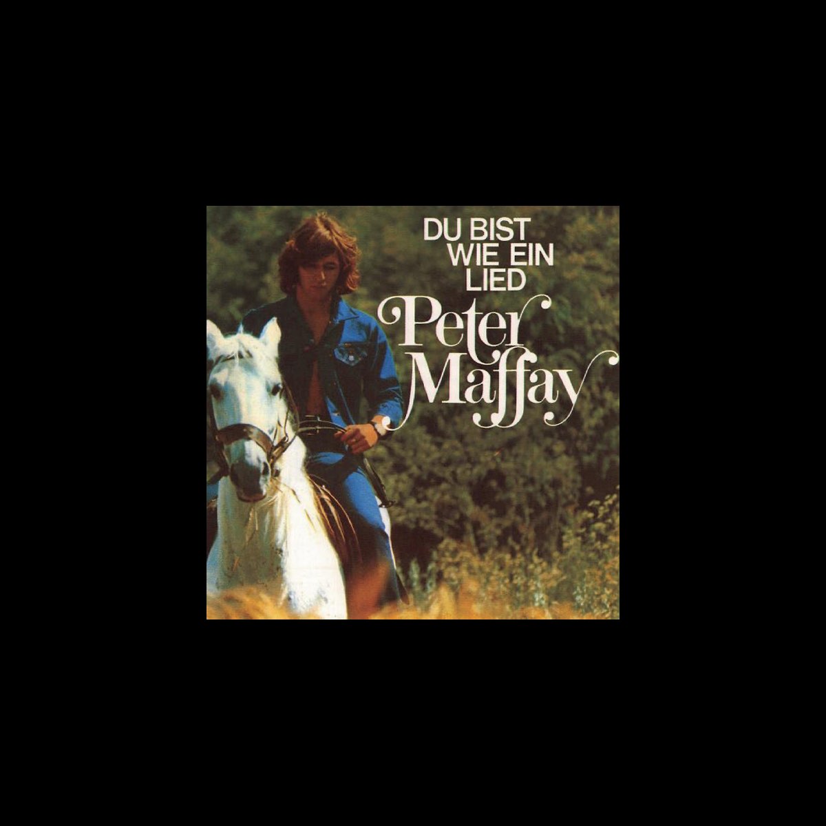 Peter Maffay Du Bist Wie Ein Schönes Lied ‎Du bist wie ein Lied by Peter Maffay on Apple Music