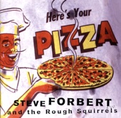 Steve Forbert and the Rough Squirrels - One After 909