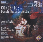 Concerto for Double Bass and Orchestra in D major, II. Adagio artwork