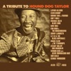 Hound Dog Taylor - A Tribute, 1997