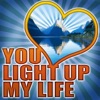 You Light Up My Life