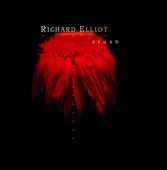Brand New Love Affair - ELLIOT RICHARD