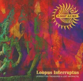 Loopus Interruptus (Forgotten Treasures & Lost Artifacts) artwork