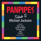 Panpipes Play Michael Jackson