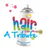 Hair - the Musical - a Tribute ! album lyrics, reviews, download
