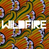 SBTRKT feat. Little Dragon - Wildfire