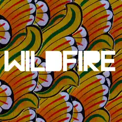 Wildfire (feat. Little Dragon) - Single - Sbtrkt Wildfire (feat. Little Dragon) - Single - Sbtrkt