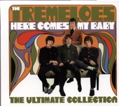 The Tremeloes - Here Comes My Baby