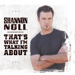 Shannon Noll - What About Me (Sterling Remix) - Line Dance Music